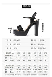 AMARA DELPHINE High Heel Shoe - Shop All Digital 