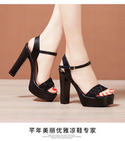 AMARA DELPHINE High Heel Shoe - Shop All Digital 