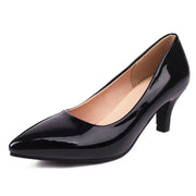 EMILIA VANETTI Pointed Toe Small Heels Shoes - Shop All Digital 